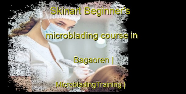 Skinart Beginner's microblading course in Bagaoren | MicrobladingTraining | MicrobladingClasses | SkinartTraining-Turkey